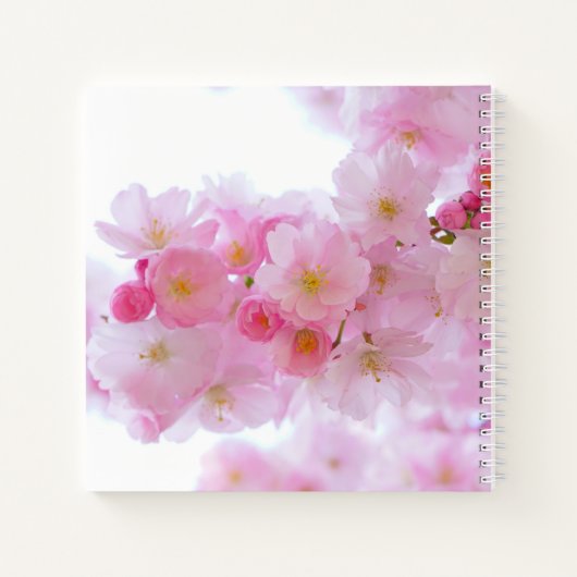 Roze Cherry Blossom Photo - Monogramed Notitieboek (Achterkant)