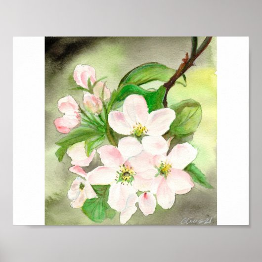 Roze Cherry Blossom Poster (Voorkant)