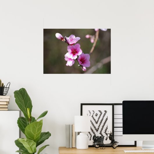 Roze Cherry Blossom Poster (Thuiskantoor)