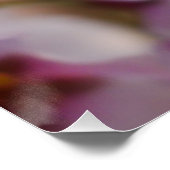 Roze Cherry Blossom Poster (Hoek)