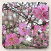 Roze Cherry Blossom / Sakura / サ ク ラ(桜) Bier Onderzetter (Voorkant)