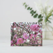 Roze Cherry Blossom / Sakura / サ ク ラ(桜) Briefkaart (Staand voorkant)