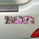 Roze Cherry Blossom / Sakura / サ ク ラ(桜) Bumpersticker (Op auto)