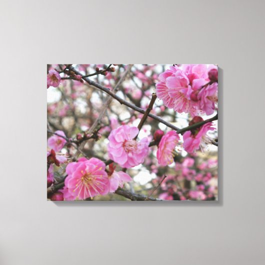 Roze Cherry Blossom / Sakura / サ ク ラ(桜) Canvas Afdruk (Voorkant)