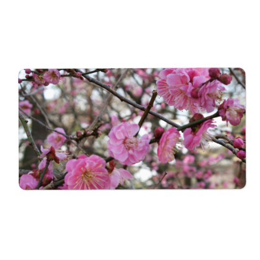 Roze Cherry Blossom / Sakura / サ ク ラ(桜) Etiket (Voorkant)