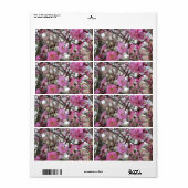 Roze Cherry Blossom / Sakura / サ ク ラ(桜) Etiket (Full Sheet)