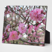 Roze Cherry Blossom / Sakura / サ ク ラ(桜) Fotoplaat (Zijkant)