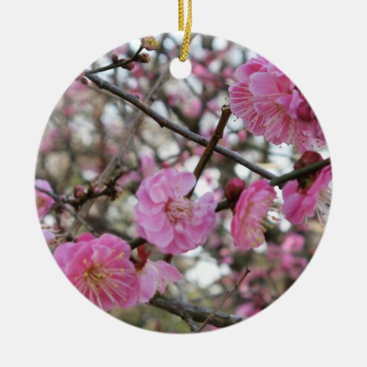 Roze Cherry Blossom / Sakura / サ ク ラ(桜) Keramisch Ornament (Voorkant)