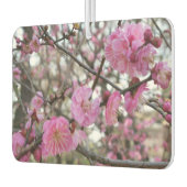 Roze Cherry Blossom / Sakura / サ ク ラ(桜) Luchtverfrisser (Links)