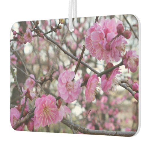 Roze Cherry Blossom / Sakura / サ ク ラ(桜) Luchtverfrisser (Links)