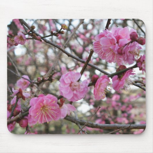Roze Cherry Blossom / Sakura / サ ク ラ(桜) Muismat (Voorkant)