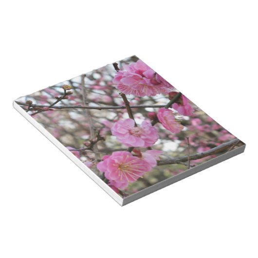Roze Cherry Blossom / Sakura / サ ク ラ(桜) Notitieblok (Schuin)