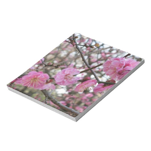 Roze Cherry Blossom / Sakura / サ ク ラ(桜) Notitieblok (Linkerzijde)
