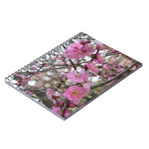 Roze Cherry Blossom / Sakura / サ ク ラ(桜) Notitieboek