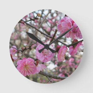 Roze Cherry Blossom / Sakura / サ ク ラ(桜) Ronde Klok