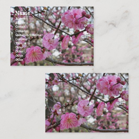 Roze Cherry Blossom / Sakura / サ ク ラ(桜) Visitekaartje (Voorkant / Achterkant)