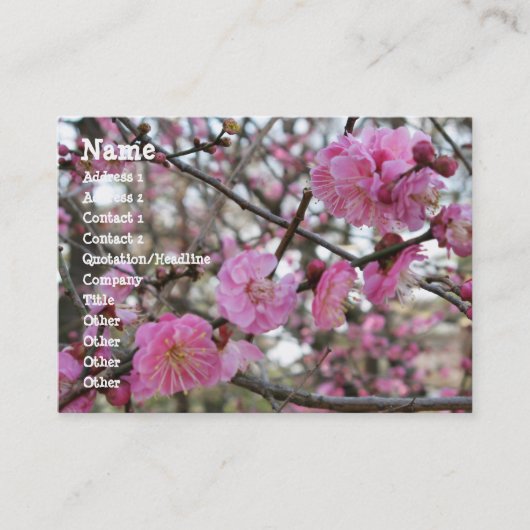 Roze Cherry Blossom / Sakura / サ ク ラ(桜) Visitekaartje (Voorkant)