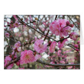 Roze Cherry Blossom / Sakura / サ ラ(桜) Kaart (Voorkant Horizontaal)