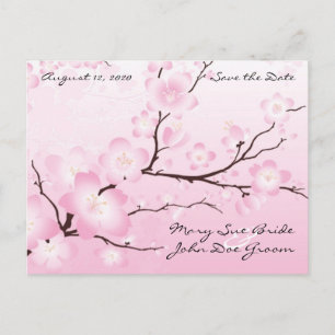 Roze Cherry Blossom Sparen de Briefkaarten van de 