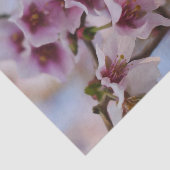 Roze Cherry Blossom Tissue Paper Tissuepapier (Detail)