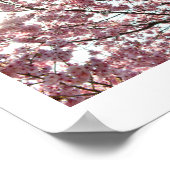 Roze Cherry Blossom: Tokyo, Japan Poster (Hoek)