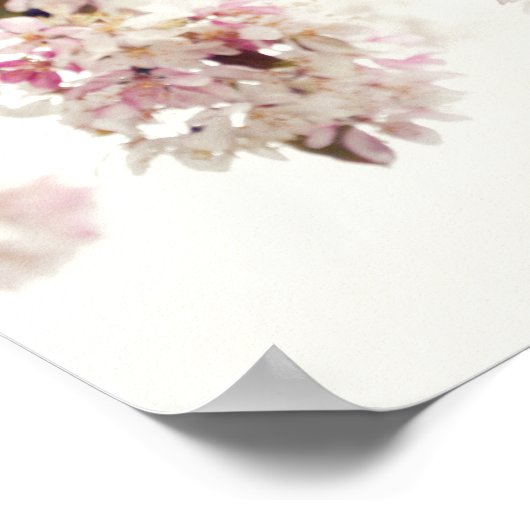Roze Cherry Blossom Tree Flower Photo Poster (Hoek)