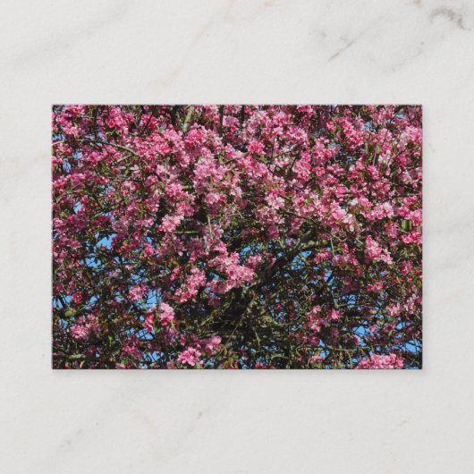 Roze Cherry Blossom Visitekaartje (Voorkant)