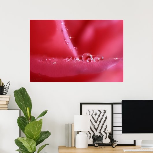 Roze Cherry roos Poster (Thuiskantoor)