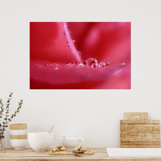 Roze Cherry roos Poster (Keuken)
