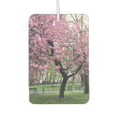 Roze Cherry Tree Blossom Springtime New York City Luchtverfrisser (Voorkant)