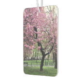 Roze Cherry Tree Blossom Springtime New York City Luchtverfrisser (Links)