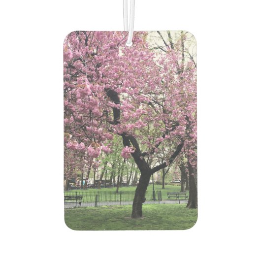 Roze Cherry Tree Blossom Springtime New York City Luchtverfrisser (Achterkant)