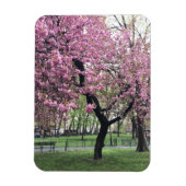 Roze Cherry Tree Blossom Springtime New York City Magneet (Verticaal)