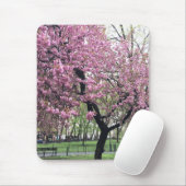 Roze Cherry Tree Blossom Springtime New York City Muismat (Met muis)