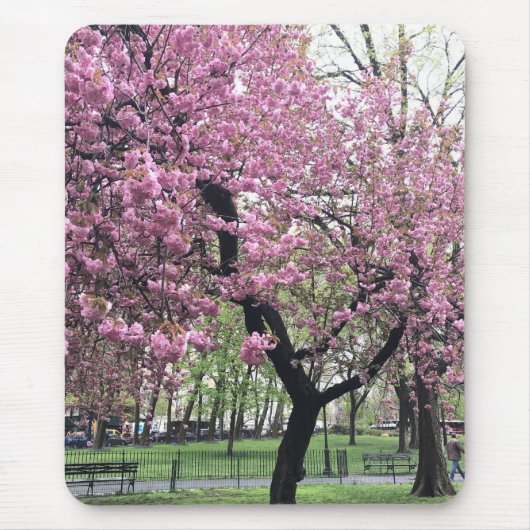 Roze Cherry Tree Blossom Springtime New York City Muismat (Voorkant)