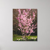 Roze Cherry Tree Canvas Afdrukken (Voorkant)