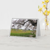 Roze Cherry Tree Flowers met veld op achtergrond Kaart (Gele Bloem)