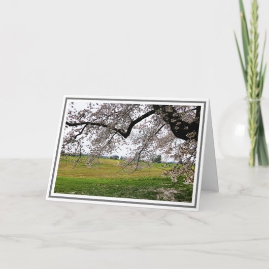 Roze Cherry Tree Flowers met veld op achtergrond Kaart (Voorkant)