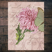  roze chrysanten Luna Moth Ephemera Tissuepapier