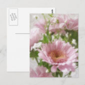 Roze chrysanthema 5 legance briefkaart (Voorkant / Achterkant)