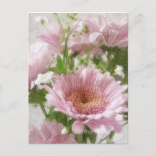 Roze chrysanthema 5 legance briefkaart (Voorkant)