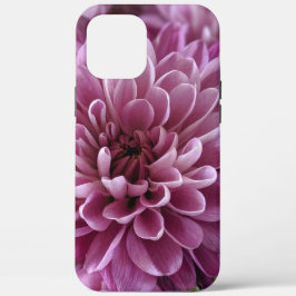Roze Chrysanthemum Bloem Foto Design Case-Mate iPhone Case