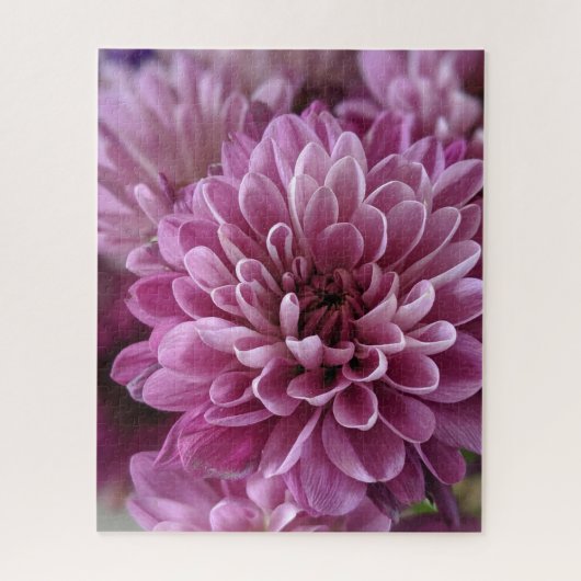 Roze Chrysanthemum Bloem Foto Legpuzzel (Verticaal)