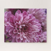 Roze Chrysanthemum Bloem Foto Legpuzzel (Horizontaal)