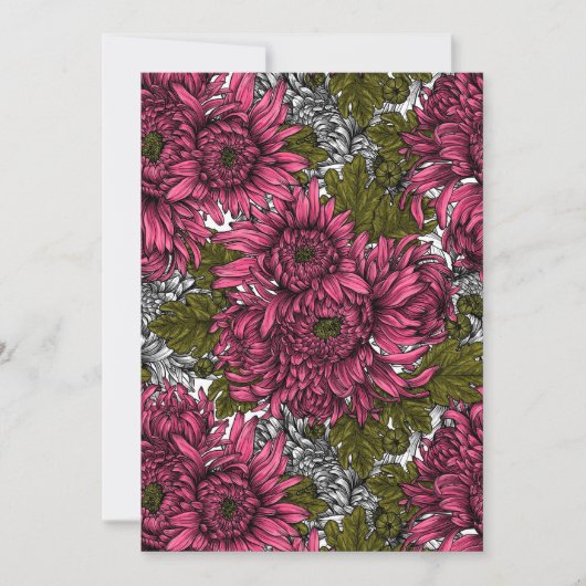 Roze chrysanthemum bloemen (Voorkant)