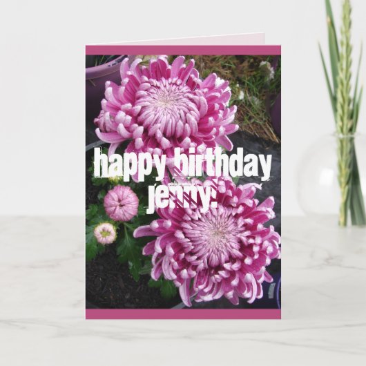 Roze Chrysanthemum bloemen bloemen Birthday Kaart (Voorkant)