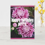 Roze Chrysanthemum bloemen bloemen Birthday Kaart (Gele Bloem)