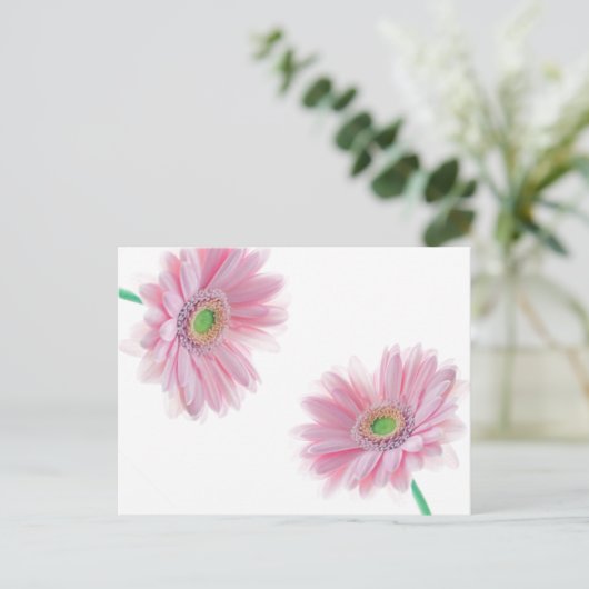 Roze CHRYSANTHEMUM Briefkaart (Staand voorkant)
