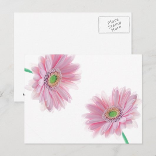 Roze CHRYSANTHEMUM Briefkaart (Voorkant / Achterkant)