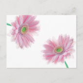 Roze CHRYSANTHEMUM Briefkaart (Voorkant)